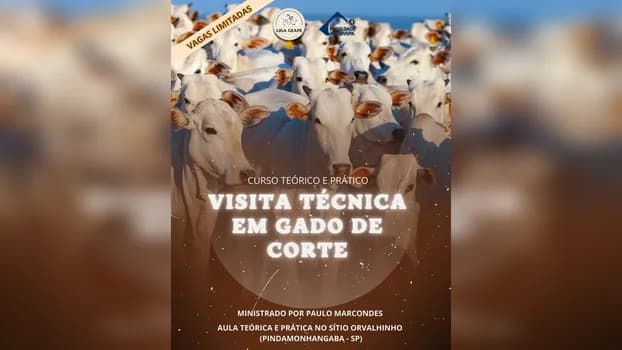 Imagem do Curso teórico e prático: visita técnica em gado de corte