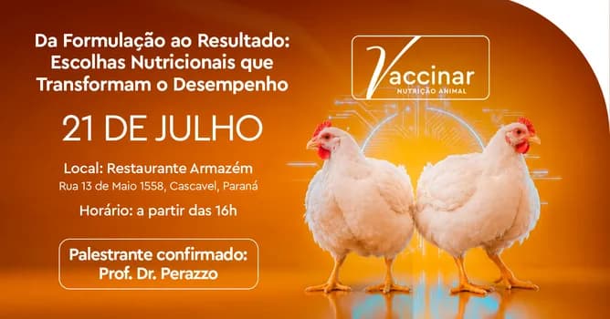 Imagem do Da Formulação ao Resultado: Escolhas Nutricionais que Transformam o Desempenho