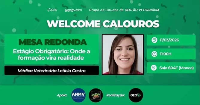 Imagem do Estágio Obrigatório: Onde a Formação Vira Realidade