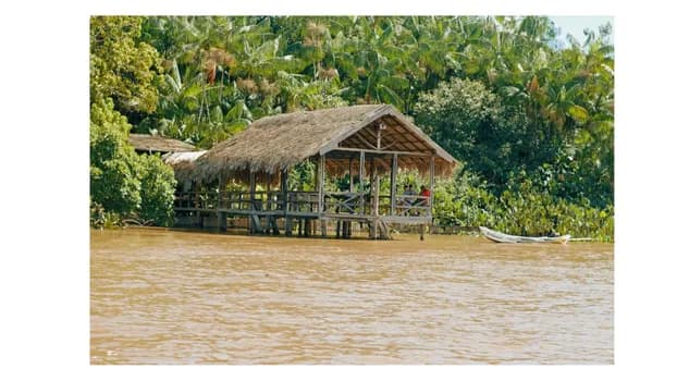 Imagem do EXPERIÊNCIA NA ILHA. Harmonização: Café combina com o quê?