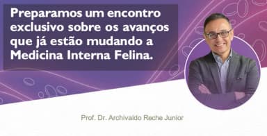 Felinamente Plenos em Florianópolis