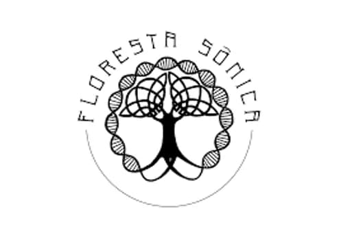 Imagem do FLORESTA SÔNICA HALLOWEEN