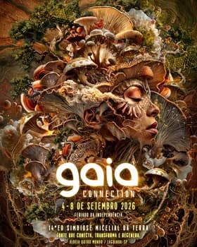 Imagem do GAIA CONNECTION