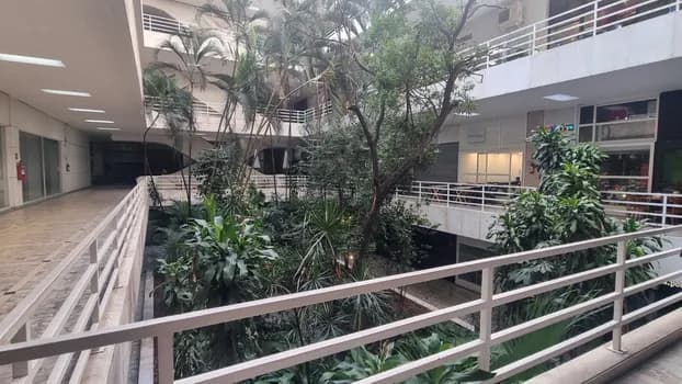 Imagem do Galerias, Pisos e Afetos: passeio guiado sob os pisos e entre galerias do centro de São Paulo