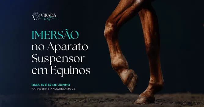 Imagem do Imersão no Aparato Suspensor em Equinos | VIRADA VET