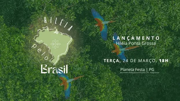 Imagem do LANÇAMENTO HILÉIA PONTA GROSSA - networking e empreendedorismo