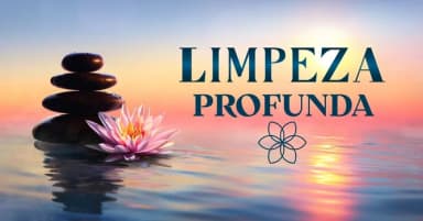 Limpeza de Todas as Fases da Vida Desde o útero até hoje em Salvador