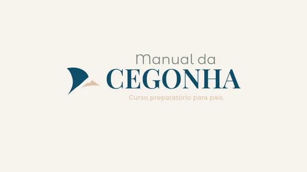 Imagem do Manual da cegonha: curso preparatório para pais