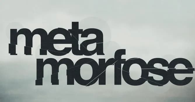 Imagem do "Metamorfose" Por Kalebe Costa