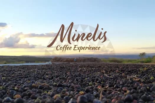 Imagem do Minelis Coffee Experience - 25/07 - Manhã