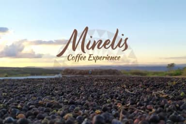 Minelis Coffee Experience - 25/07 - Tarde em Brasília