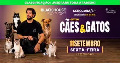 O PAI DOS GATOS em SOROCABA - Stand up Comedy em Sorocaba