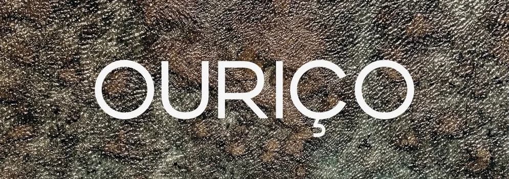 Imagem do OURIÇO