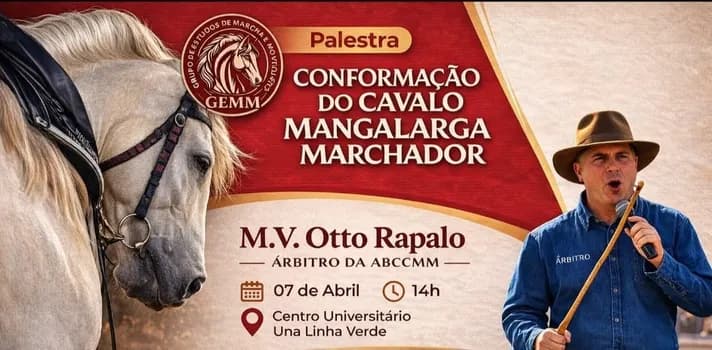 Imagem do Palestra Conformação do Cavalo Mangalarga Marchador