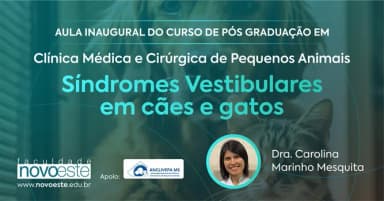 Palestra: Síndromes Vestibulares em cães e gatos em Campo Grande