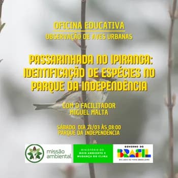 Imagem do Passarinhada no Ipiranga: Identificação de espécies no Parque da Independência