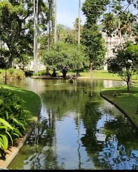 Imagem do Passeio no RJ: Palácio do Catete+ Museu oi futuro