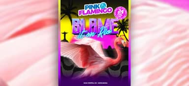 Pink Flamingo | Blame it On Rio |Sexta 24 de Julho em Rio de Janeiro