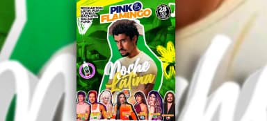 Pink Flamingo |Noche Latina |Terça 28 de Julho em Rio de Janeiro