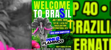 Pink Flamingo |Welcome to Brasil | Segunda, 20 de Julho 21h em Rio de Janeiro
