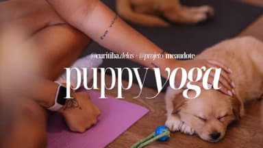 Puppy Yoga | Curitiba Delas + Projeto Me AUdote em Curitiba