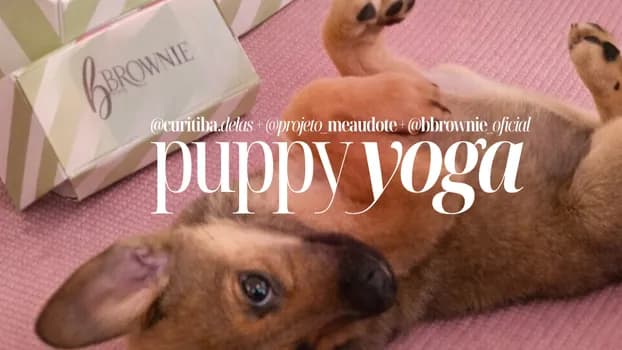 Imagem do Puppy Yoga | Curitiba Delas + Projeto Me AUdote + BBrownie