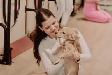 Puppy Yoga e Pilates por Me Adota SP e Shopper em São Paulo