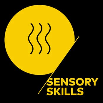 Imagem do SCA Sensory Skills Foundation Certificação Internacional (Híbrido)