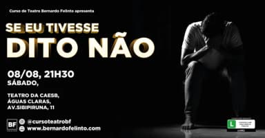 Se eu tivesse dito não em Brasília