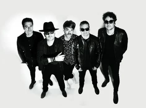 Imagem do Show Vera Loca - Borracho y Loco