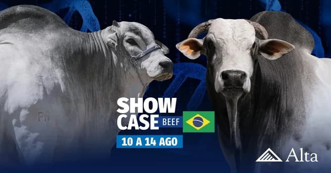 Imagem do Showcase Beef Brasil