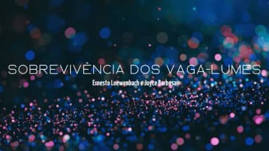 Sobrevivência dos Vaga-lumes em João Pessoa