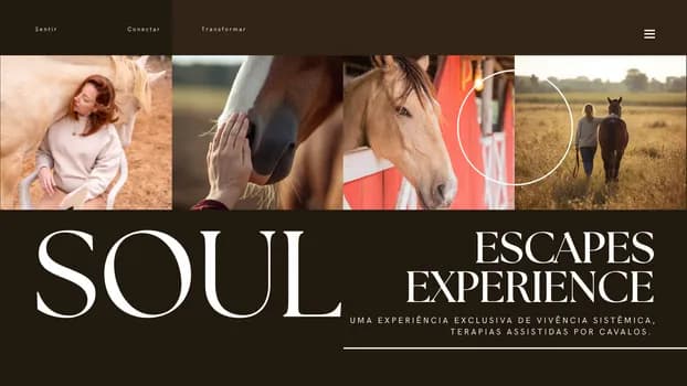 Imagem do Soul Escapes Experience - Vivência Sistêmica com Cavalos - Serra Negra