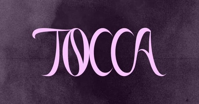 Imagem do TOCCA