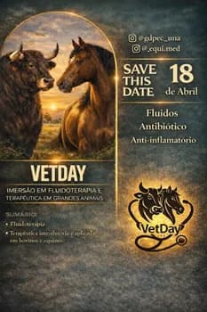 Imagem do Vetday: Imersão em Fluidoterapia e Terapêutica em Grandes Animais