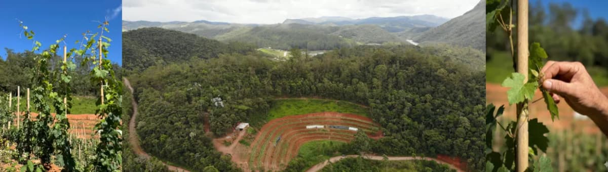 Imagem do Visita Fundadora ANSEHI