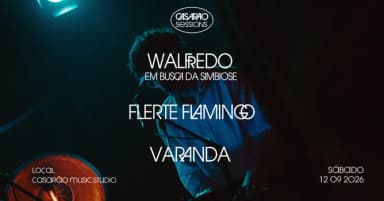 Walfredo Em Busca da Simbiose, Varanda e Flerte Flamingo no Casarão em Piracicaba