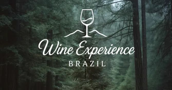 Imagem do Wine Experience Brazil - Winter Edition