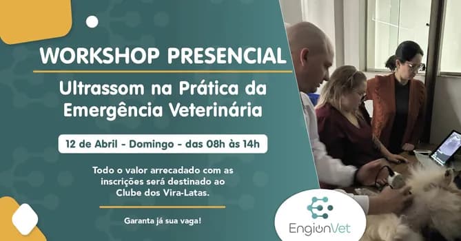 Imagem do WORKSHOP PRESENCIAL - Ultrassom na Prática da Emergência Veterinária