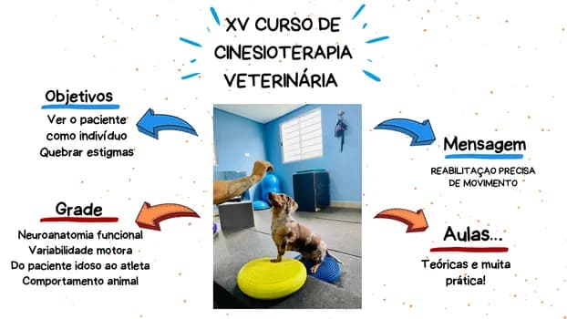 Imagem do XV Curso de Cinesioterapia Veterinária