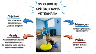 XV Curso de Cinesioterapia Veterinária em Santos